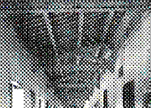 Descreening & halftone - before