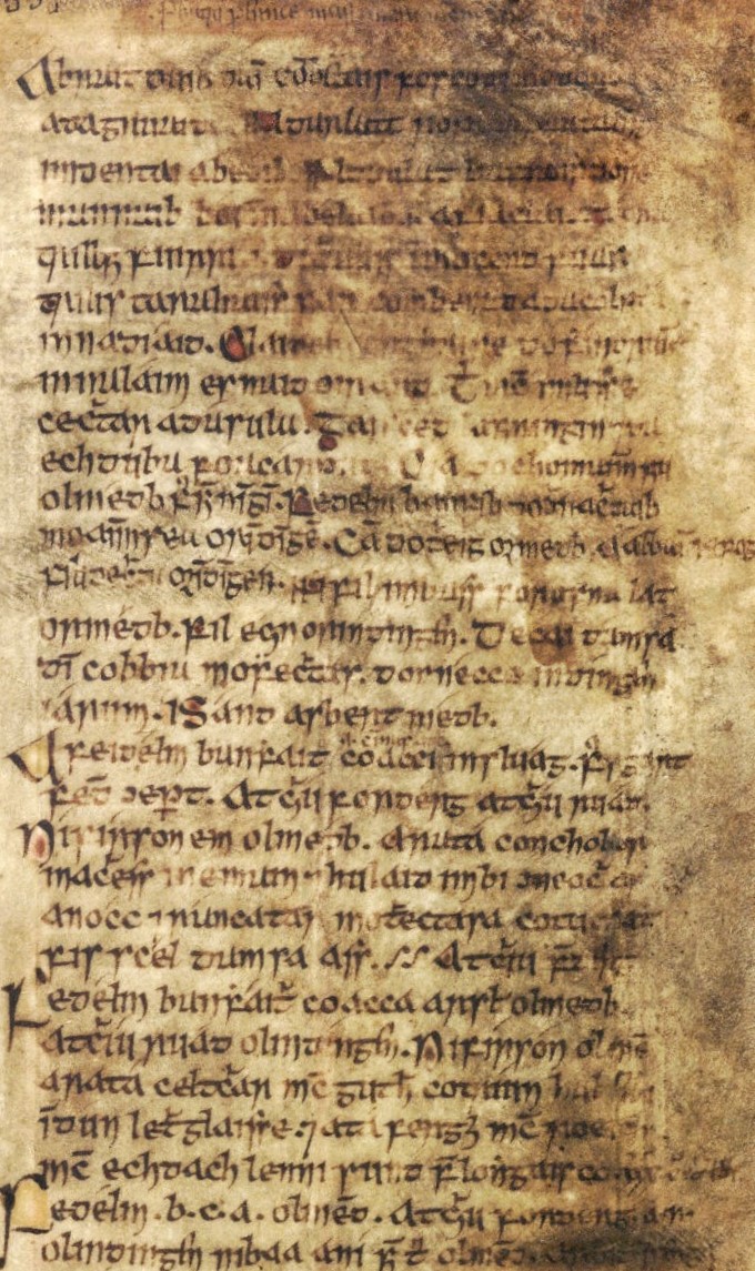 Medieval manuscript leaf, browned and stained, its script and red initials obscured by the damage