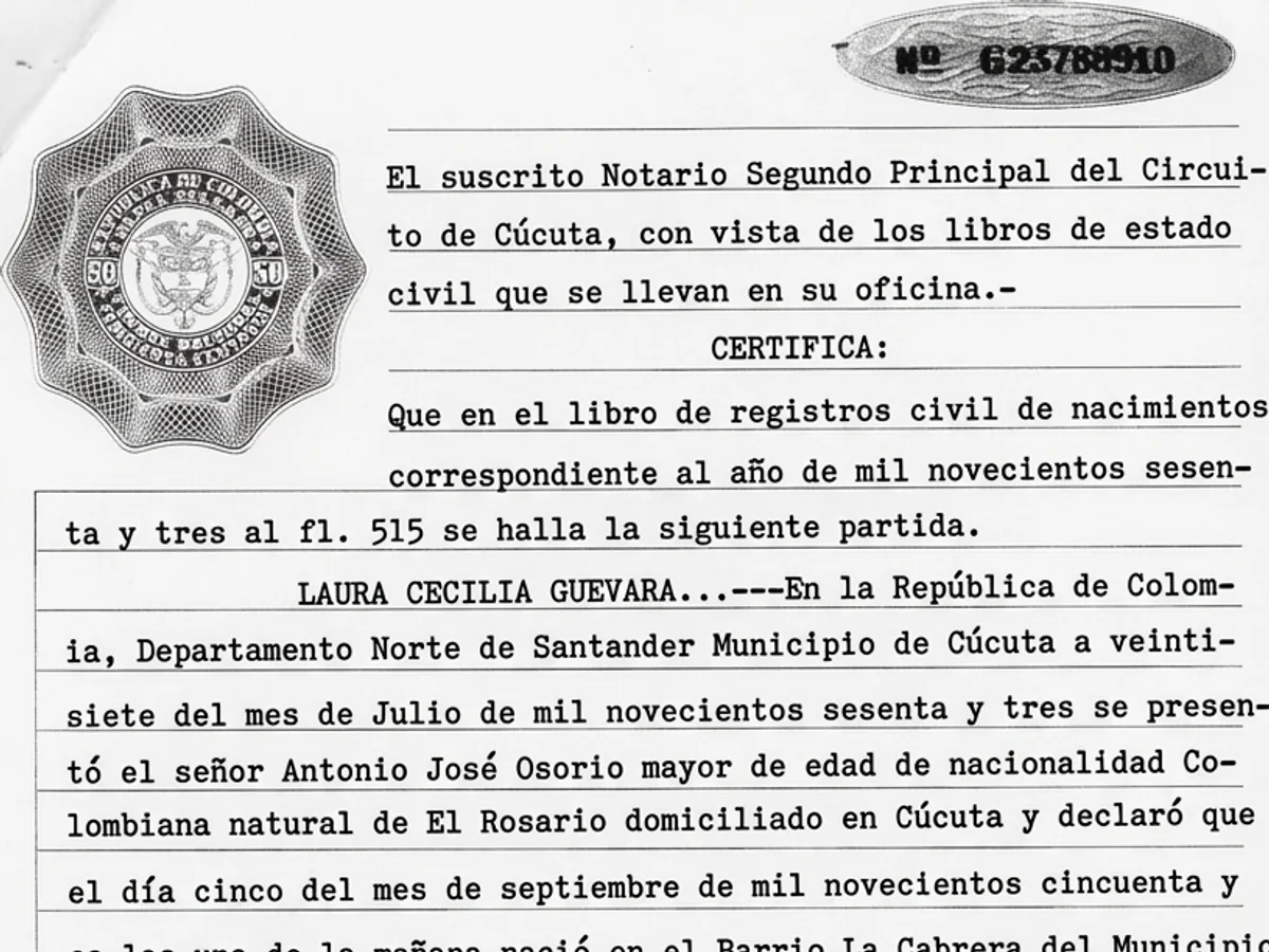 The same registry certificate restored, its typed entries rebuilt to solid characters